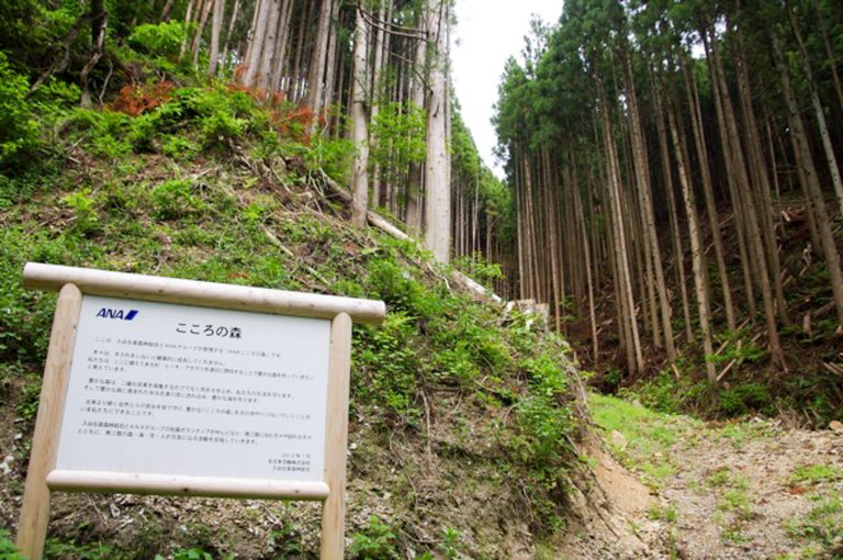 森づくりで地域の暮らしを守りたい、ANAこころの森活動紹介（寄稿）